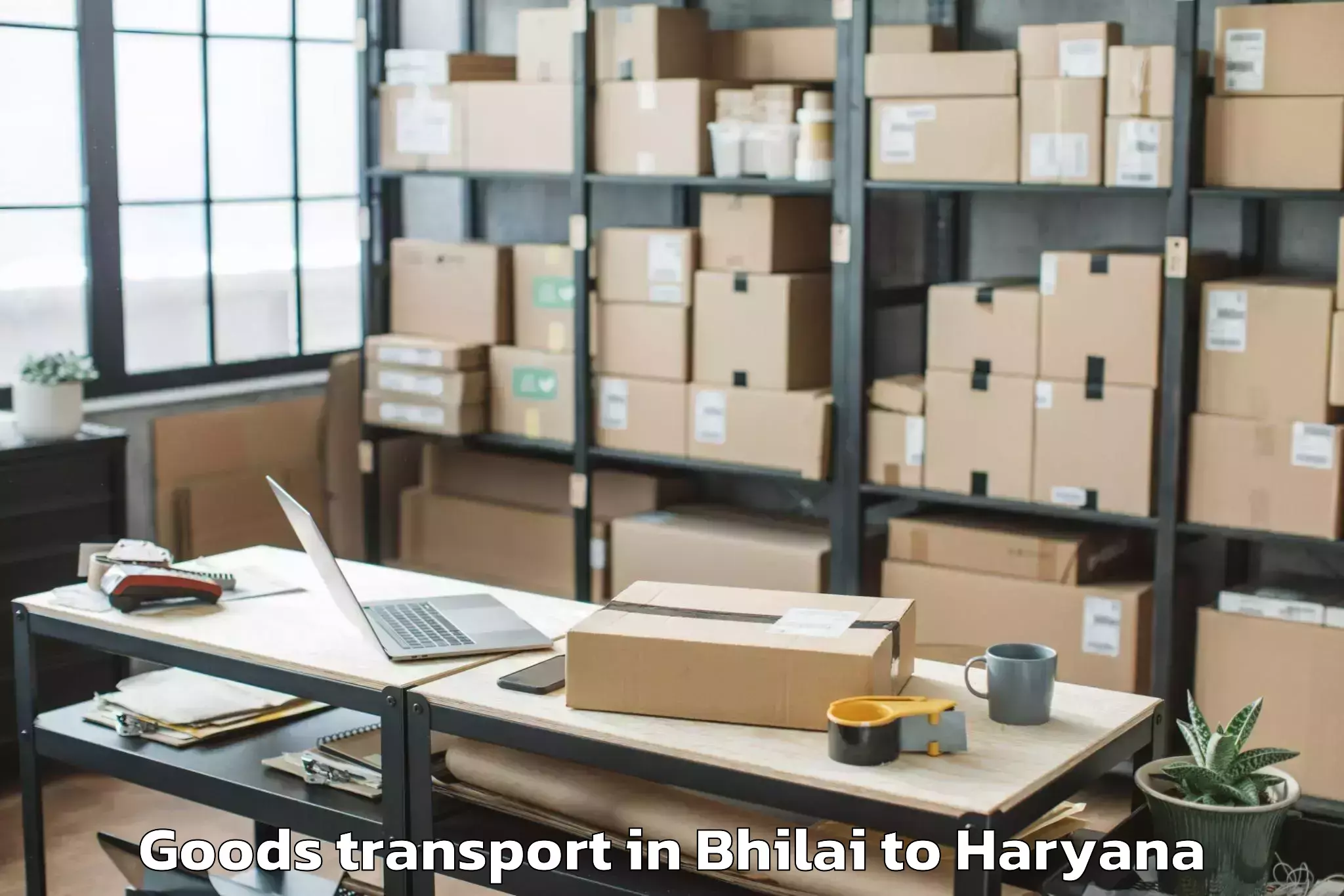 Get Bhilai to Safidon Goods Transport